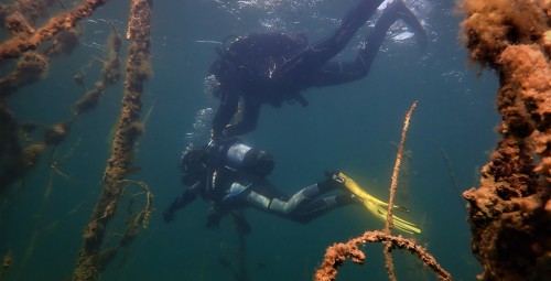 Пробное погружение с берега #5