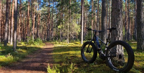 Путешествие на природу в Таэваскода на велосипеде e-fat