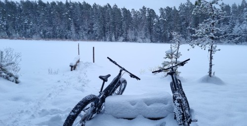 Путешествие на природу в Таэваскода на велосипеде e-fat