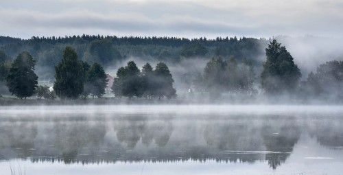 Rõuge ürgorg, Võrumaa, Lõuna-Eesti #9