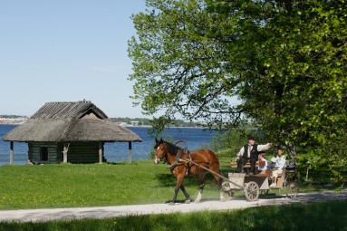 Romantiline piknik Eesti Vabaõhumuuseumis hobukaariku söiduga #1