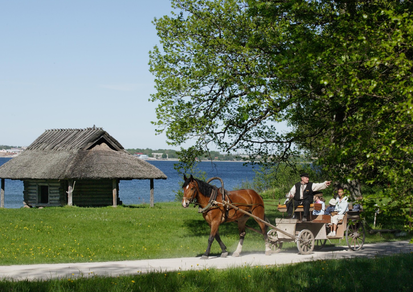 Романтический пикник в Эстонском музее под открытым небом