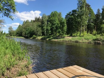 Puhkus Pärnu jõe ääres, Piesta Kuusikaru