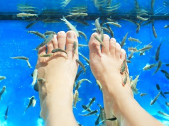 Värskendav pai sinu jalgadele, Spa Balance teraapia Garra Rufa kaladega #2