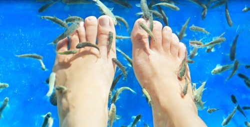 Värskendav pai sinu kätele ja jalgadele, Spa Balance teraapia Garra Rufa kaladega #3