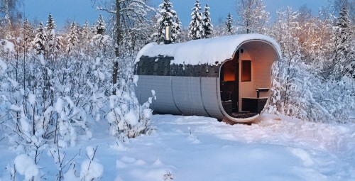 Гостиничный пакет с ночлегом в глэмпинге с напитками и сауной Bubble House #12