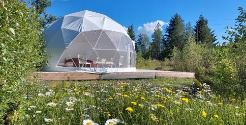 Гостиничный пакет с ночлегом в глэмпинге с напитками и сауной Bubble House #1