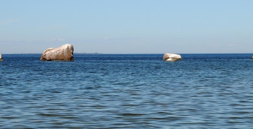 Педассаар – морская прогулка по заливу Колга на небольшой остров и поход по острову. #6