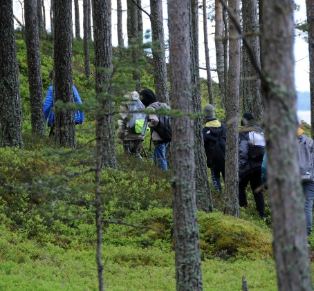 Pedassaar – merereis Kolga lahe väikesaarele ja matk saarel