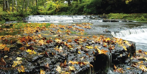 Matk looduses Lahemaal - joad ja joastikud kaheksale #2