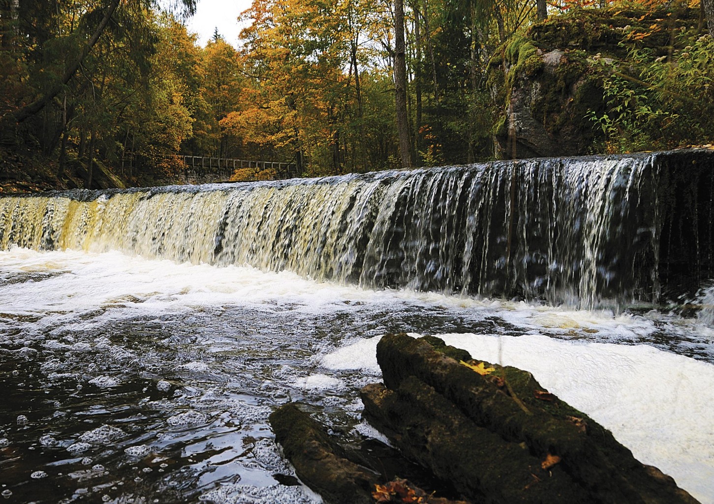 Loodusreis "Lahemaa joad ja joastikud" kaheksale