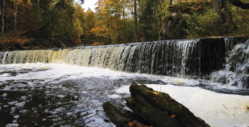 Matk looduses Lahemaal - joad ja joastikud kaheksale #1