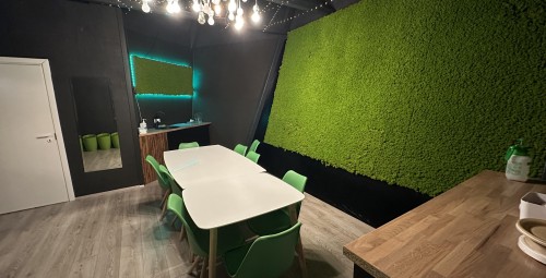 Lapse sünnipäev Park Minigolfis kümnele koos babyback söögiga #8