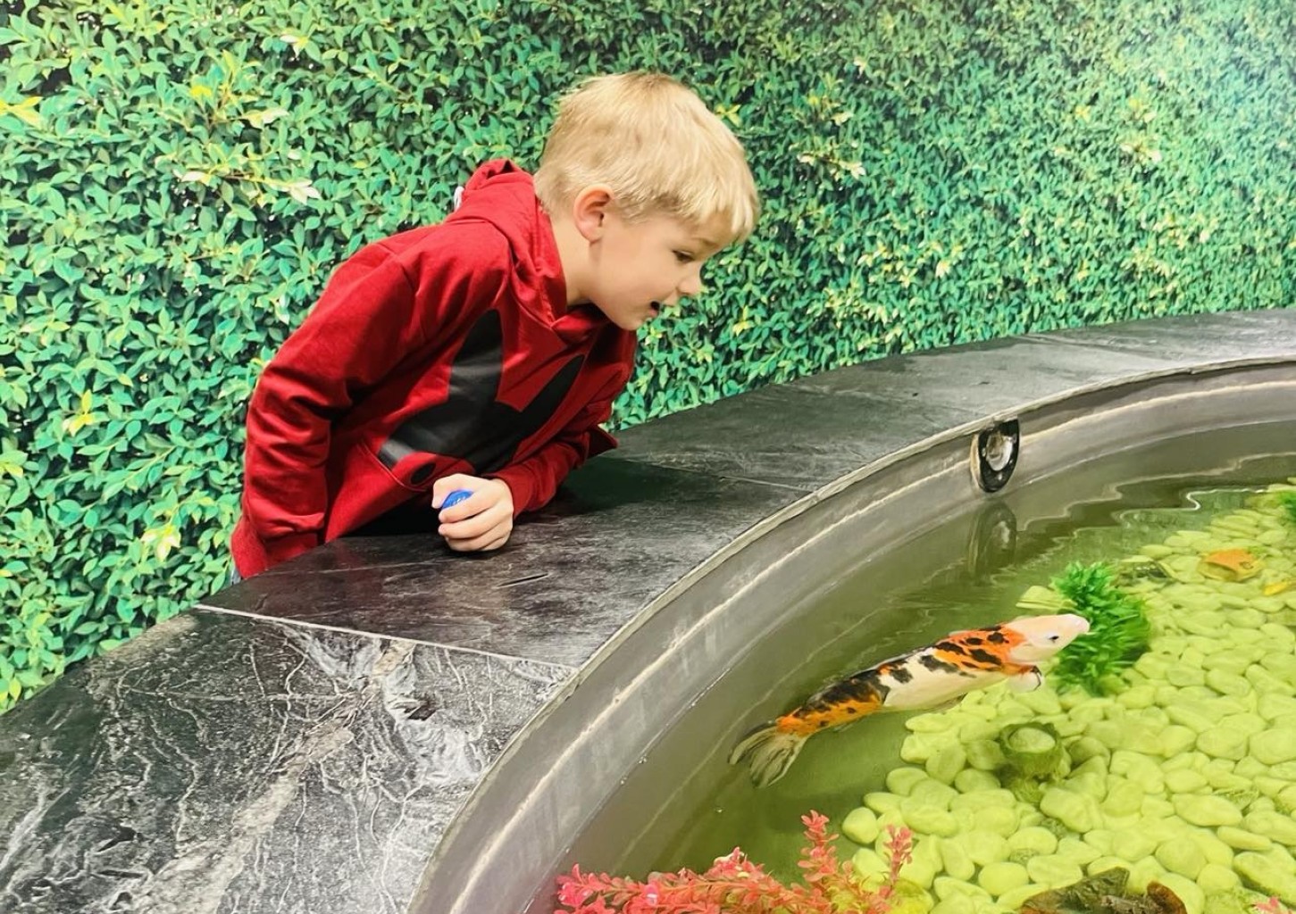 Sünnipäev Park Minigolfis 20 lapsele (R-P)