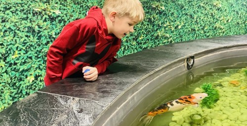 Sünnipäevapidu Park Minigolfis lapsele koos Babyback söögiga #1