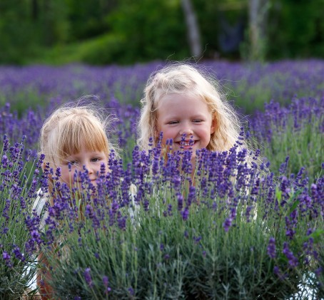 Fotosessioon lavendlipõllul