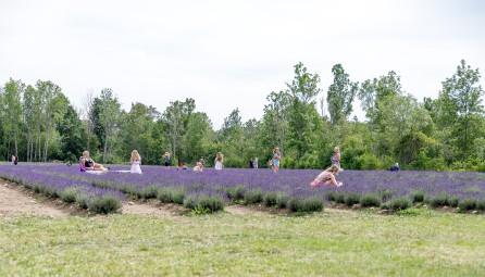 Fotosessioon lavendlipõllul - Sootsu Lavendel #3