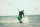 Lohesurfi koolitus Surfys
