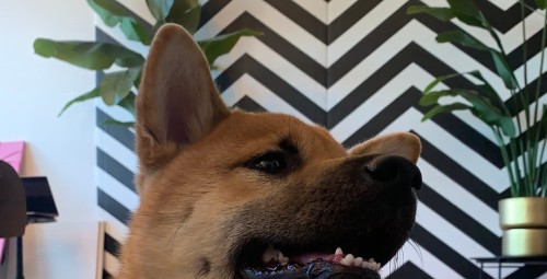 3D maalimise töötuba Tallinnas, IDÜLL loovstuudio #7