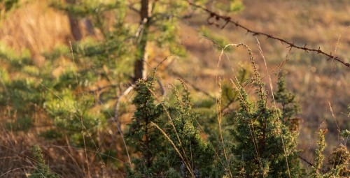 Igluseiklus kahele Saaremaal, HOIA Nature SPA #5