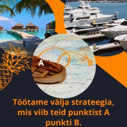 Sotsiaalmeedia pakett Maxi, Ananass turundusagentuur #2