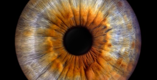 Iirise fotosessioon paarile koos prindiga, Irisshot, Tallinn #2