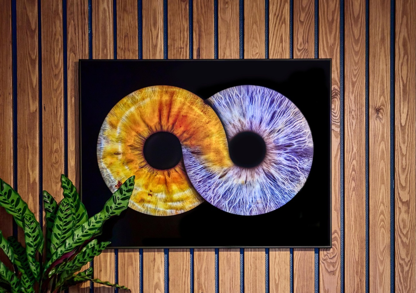 Iirise fotosessioon paarile koos prindiga