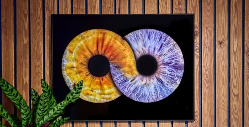 Iirise fotosessioon paarile koos prindiga, Irisshot, Tallinn #3