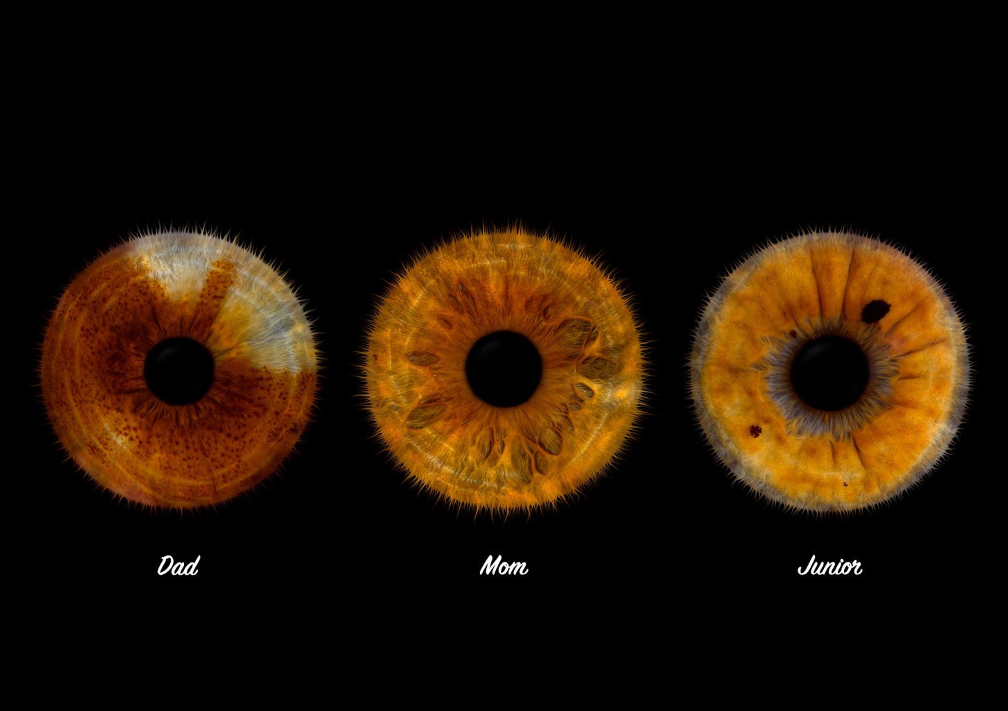 Iirise fotosessioon perele koos prindiga