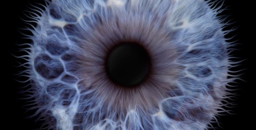 Iirise fotosessioon perele koos prindiga, Irisshot, Tallinn #4