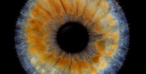 Iirise fotosessioon perele koos prindiga, Irisshot, Tallinn #6