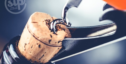 Винный курс от SIP «Вино от А до Я» #2