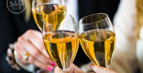 Винный курс от SIP «Вино от А до Я» #5