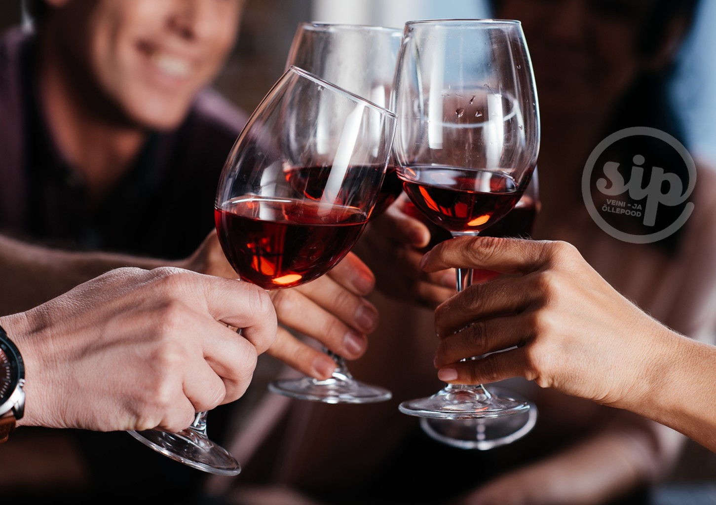 Винный курс от SIP «Вино от А до Я»