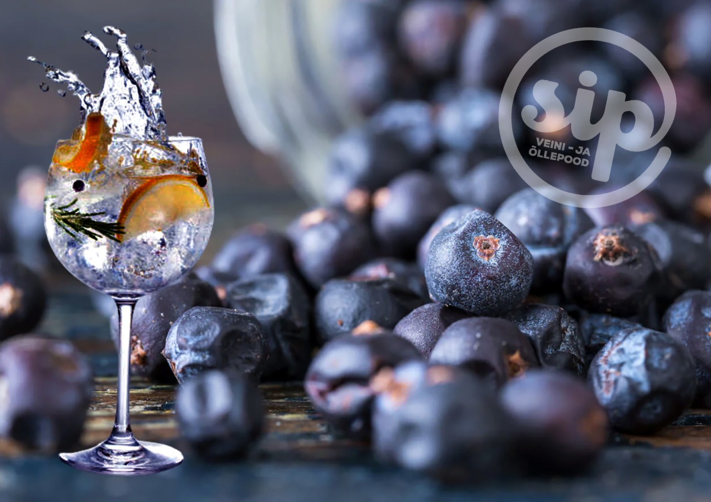 SIP nooblite jookide koolitus "Õhtu särtsakate džinnidega"