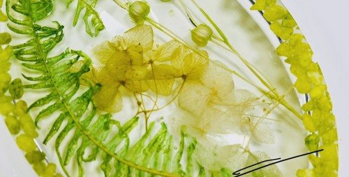 ResinArt – seebialus epoksiidvaigust #1