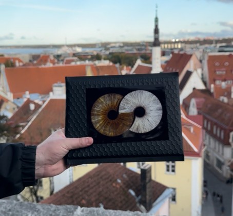Художественная фотография радужки с печатью формата A4
