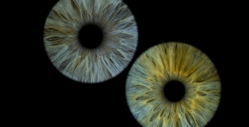 Kunstiline iirise fotograafia koos A3 prindiga kahele #10