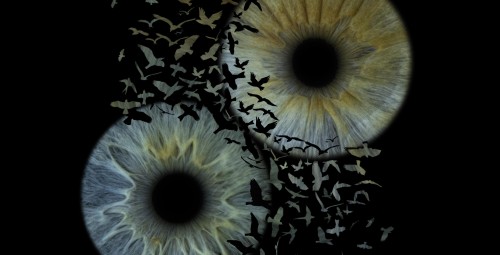 Kunstiline iirise fotograafia koos A3 prindiga kahele #4