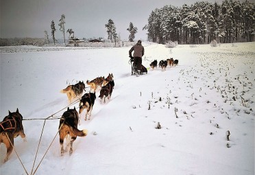 Seiklus kelgukoertega Wiira Talus lapsele ja täiskasvanule #6