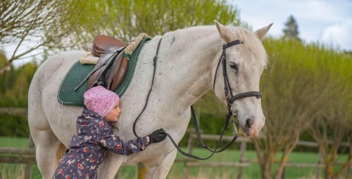 Ratsutamise individuaaltrenn Ecu tallides #4