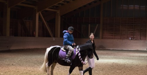 Ratsutamise individuaaltrenn Ecu tallides #5