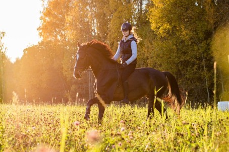 Ratsutamise individuaaltrenn Ecu tallides