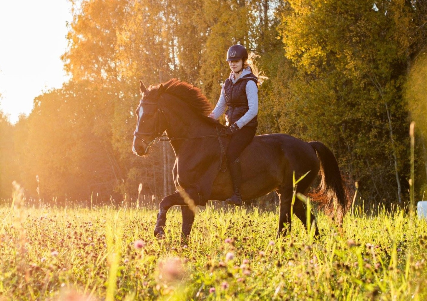 Ratsutamise individuaaltrenn Ecu tallides