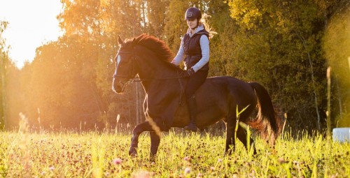 Ratsutamise individuaaltrenn Ecu tallides  #1