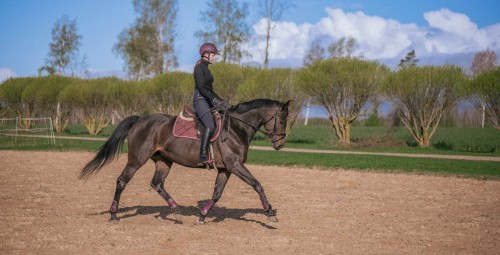 Ratsutamise individuaaltrenn Ecu tallides #6