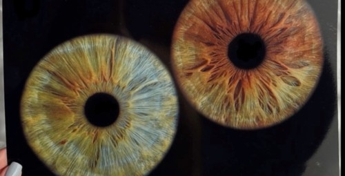 Художественная фотография радужки с печатью A4 для четверых #12