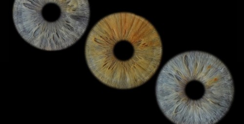 Kunstiline iirise fotograafia koos A3 prindiga neljale #3