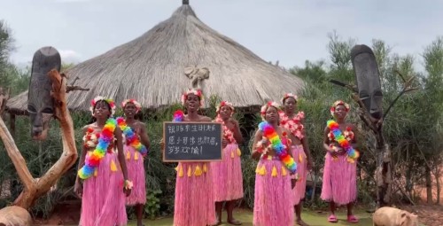 Videotervitus Aafrikast