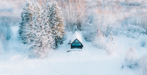 Privaatne looduspuhkus saunaga metsamajas (v.a suveperioodil) R-L #4